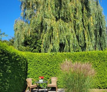 Krakow am See Apartment | Alt Sammit