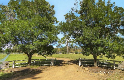 Bundook House | Altamira Black Stump