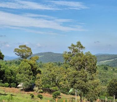 Caraa House | Alto da colina Caraá RS