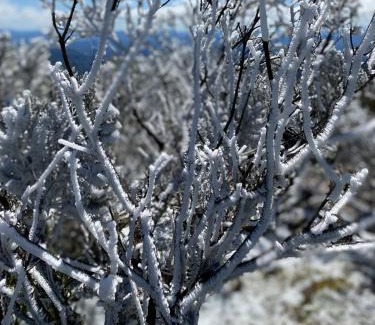 Urupema Apartment | Altos de Urupema Residencial