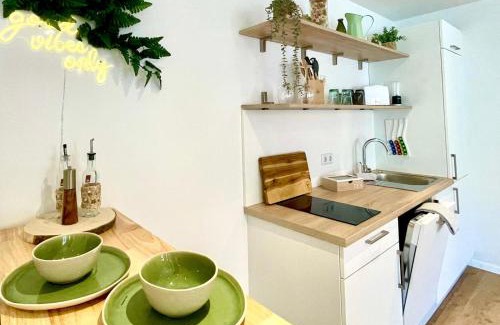 Sudost Old Town Apartment | Altstadt INsel - workaction - free parking - Audi - Balkon - Aufzug