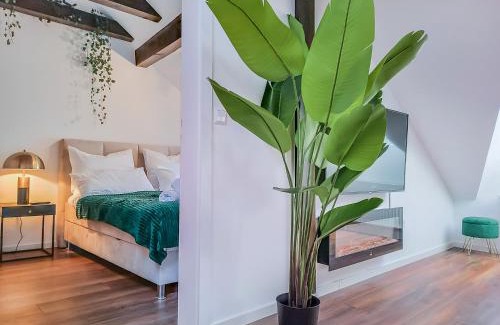 Braunschweig City Center Apartment | Altstadtflair in der Fußgängerzone mit Parkplatz und Home Office