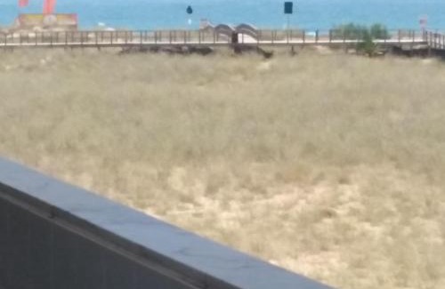 Torralta Apartment | Alvor Beach Front Line Bay