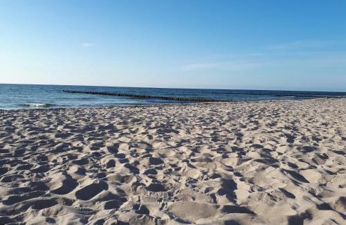 Damgarten Apartment | Am Wiesengrund - mit 2 Schlafzimmern