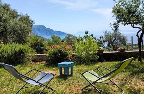 Colli di Fontanelle House | Amalfi Coast, Positano, Sorrento, Capri, Garden, Villa Carcara