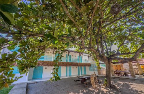 Japaratinga Hotel | Amaly Pousada e Bistrô