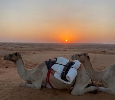 Hawiyah Cabin | Aman dome desert