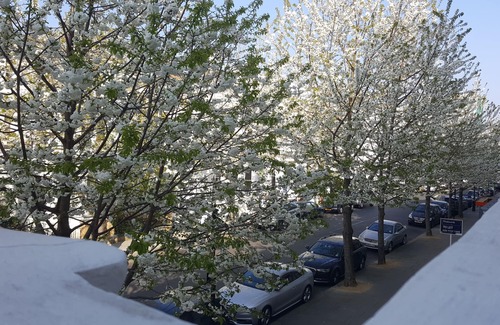 Campden Apartment | Amazing Apartment near Kensington Palace and Notting Hill