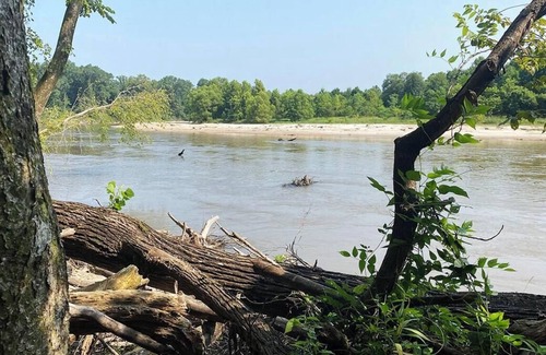 Talisheek Cabin | Amazing Campground w/80 acres to explore along the beautiful Bogue Chitto River!