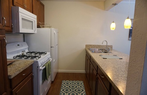 Houston Apartment | Amazing GALLERIA Furnished apartment w/internet, cable/HBO! (Galleria)