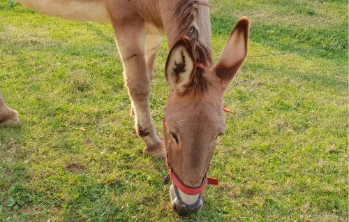 Pomarance House | Amazing Home In Pomarance
