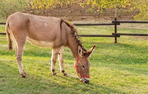 Pomarance House | Amazing Home In Pomarance