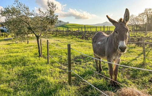 Pomarance House | Amazing Home In Pomarance