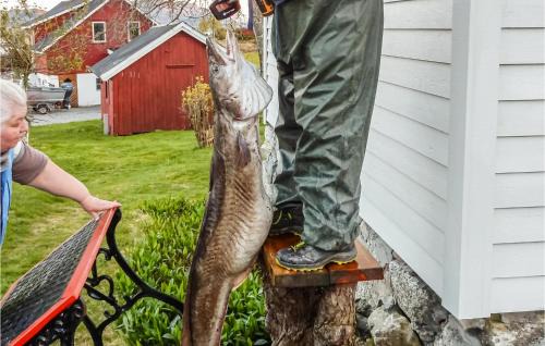 Hjelmeland House | Amazing Home In Skiftun With Wifi