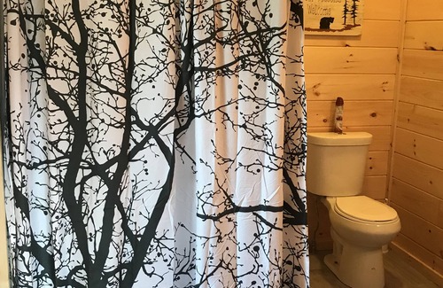 Cosby Cabin | Amazing Mountain Views! Game Room, Hot Tub and Vineyard - Pet Friendly!