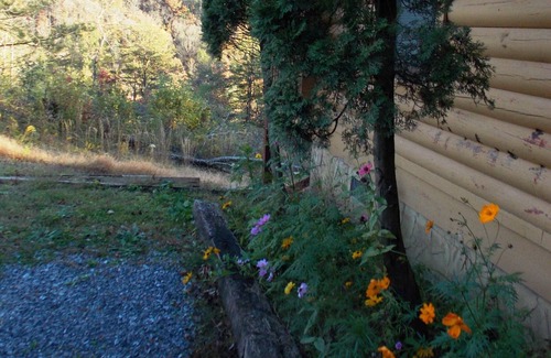 Gatlinburg Cabin | "Amazing Views" "Awesome" "Perfect" "Best Romantic Cabin in the Smokies” Reviews