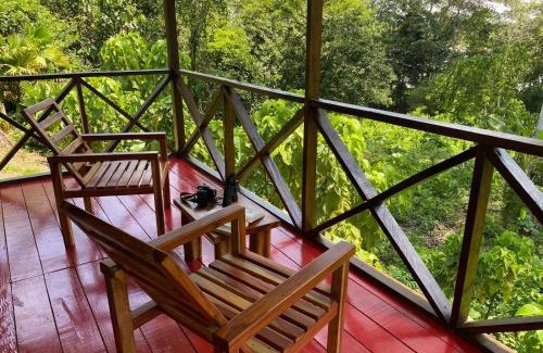 Leticia Hotel | Amazon Açaí Lodge