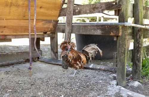 Ballast Point House | Amelia Airstream · Airstream Farm Stay Evolved Retreat Experience