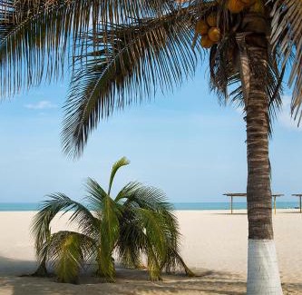 Caleta Cruz Hotel | Amotape Comfort