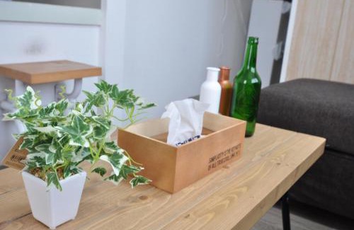 Toyohira Apartment | AMS Hiragishi 11 Rm 502 平岸駅から3分 解放感あって明るいお部屋 家族やお友達と 札幌ドームや中心部まで1駅