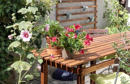 Goslar House | An der Gose - Gästezimmer & Appartement