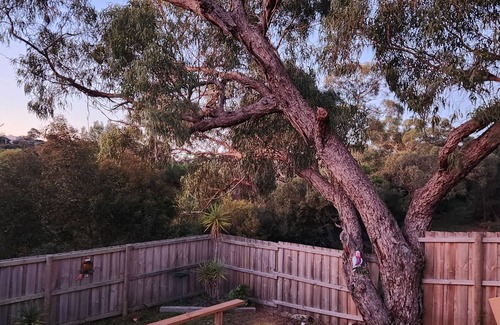 Loch Sport House | An entertainer's paradise featuring deck and bar. Relaxed Home, Amazing Views.n