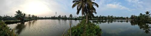 Cherthala Villa | Anaara Escapes