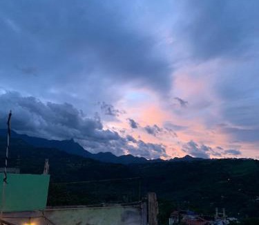 Xilitla House | Anamaya Hostal