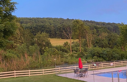 South Hartford RV Rental | Andelyn Farm Bear Kamp Yurt. A Unique Glamping Experience in Up-State New York