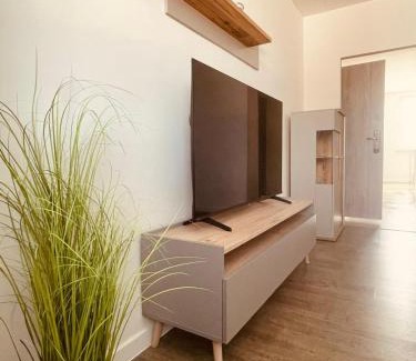 Bardejov Apartment | Andrea Apartment