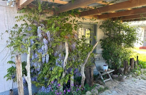 Stolpe Cottage | Anklam Stolpe near Anklam