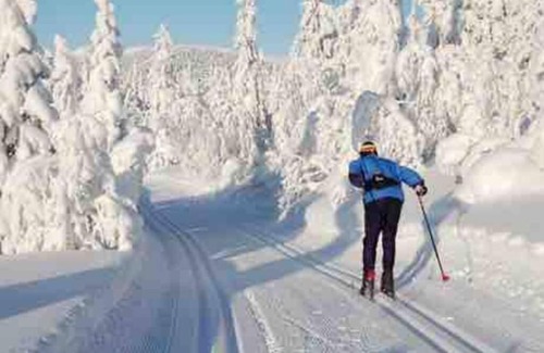 Bolkesjo House | Annes House