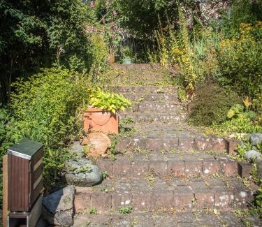 Pellenz Apartment | Antel 42