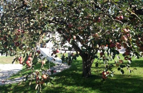 Sedico Bed & Breakfast | Antico Melo B&B