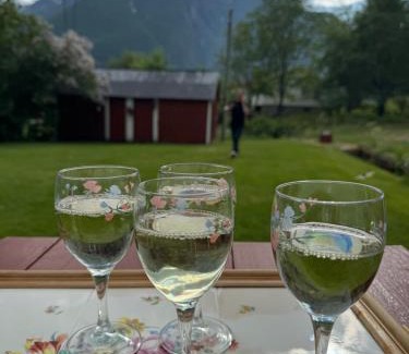 Borgund House | Aobrio Holidayhouse, authentic norwegian farmhouse close to Flåm