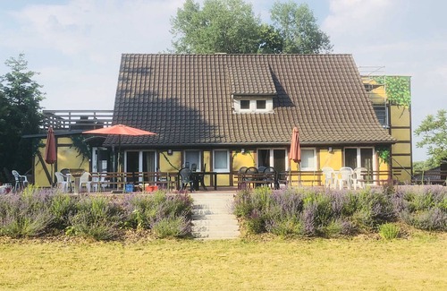 Feldberger Seenlandschaft Apartment | Apartment DG No.5 - Waldmaries vacation home