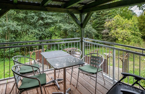 Feldberger Seenlandschaft Apartment | Apartment 'Ferienwohnung Wels' with Balcony and Wi-Fi