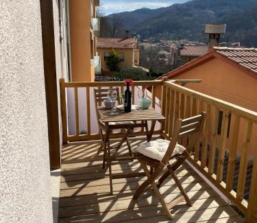 Sant Joan de Les Abadesses Apartment | Apartamento acogedor