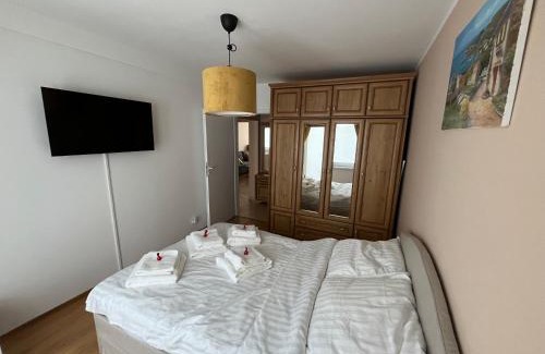 Osiecznica Apartment | Apartament Świętoszów 2