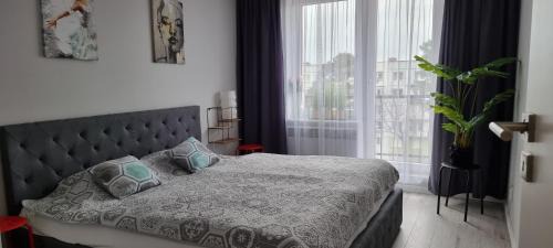 Osiecznica Apartment | Apartament Świętoszów