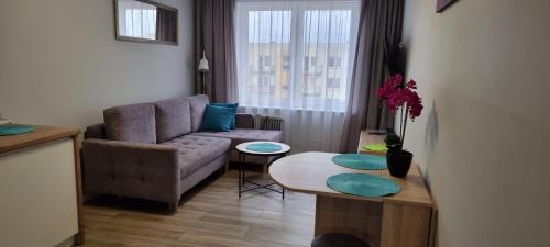 Osiecznica Apartment | Apartament Świętoszów