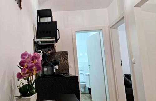 Alba Iulia Apartment | APARTAMENT ANTIK No6 ALBA IULIA