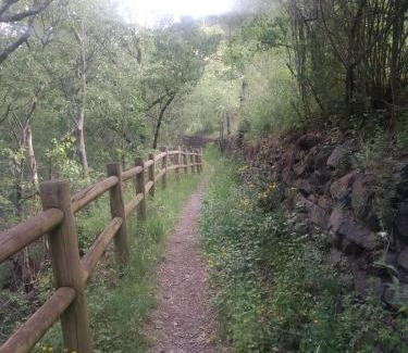 Sort Apartment | APARTAMENT BETTY