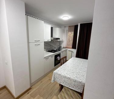Fagaras Apartment | Apartament Bianca