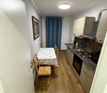 Fagaras Apartment | Apartament Bibi