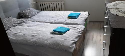 Nowa Ruda Apartment | Apartament Biedronka