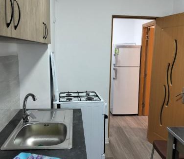Buzau Apartment | Apartament BIS