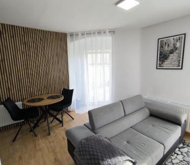 Olawa Apartment | Apartament Centrum