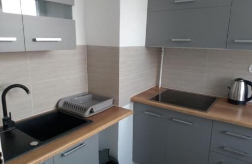 Radom Apartment | Apartament Centrum