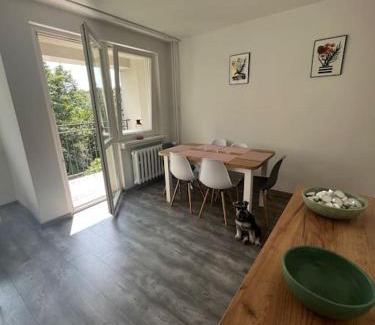 Boleslawiec Apartment | Apartament Chrobrego